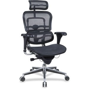 Ergohuman Office Chair - With headrest (MAIN)