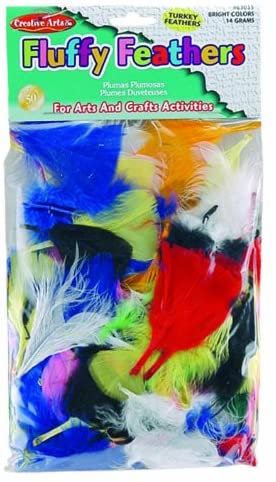 Turkey Feathers Bright Asst